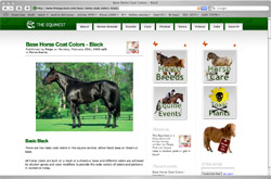 Screenshot of The Equinest website