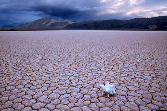 Dry desert